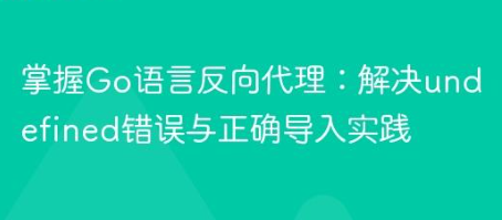 掌握Go语言反向代理：解决undefined错误与正确导入实践-yizila知识库
