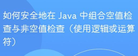 如何安全地在 Java 中组合空值检查与非空值检查(使用逻辑或运算符)-yizila知识库